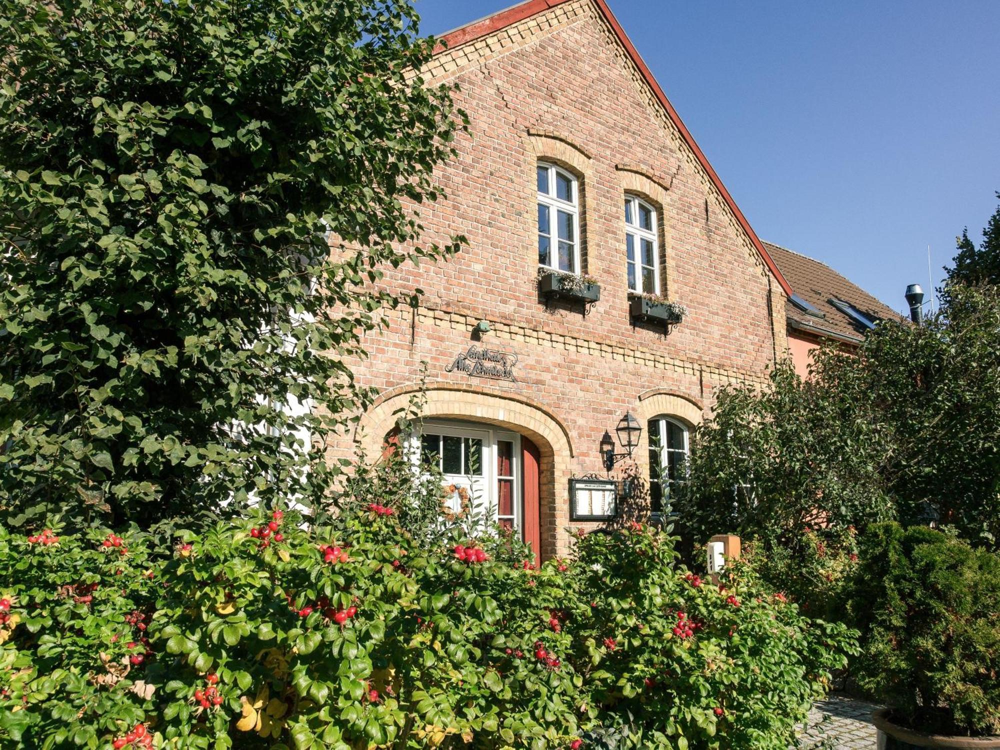 Landhaus Alte Schmiede Niemegk  Εξωτερικό φωτογραφία