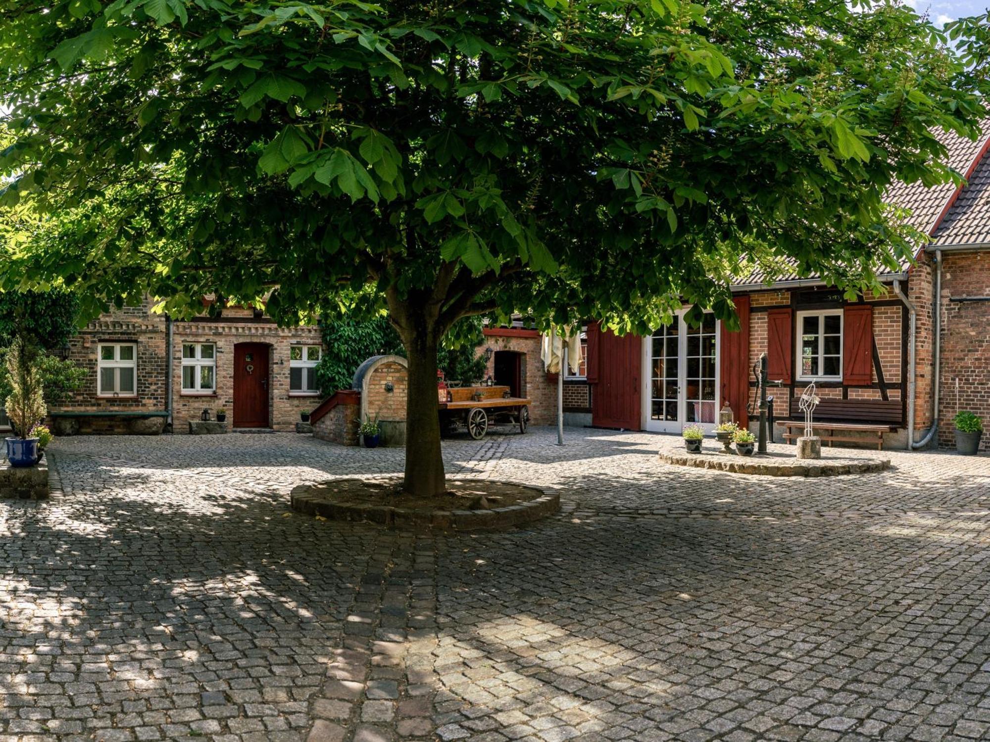 Landhaus Alte Schmiede Niemegk  Εξωτερικό φωτογραφία